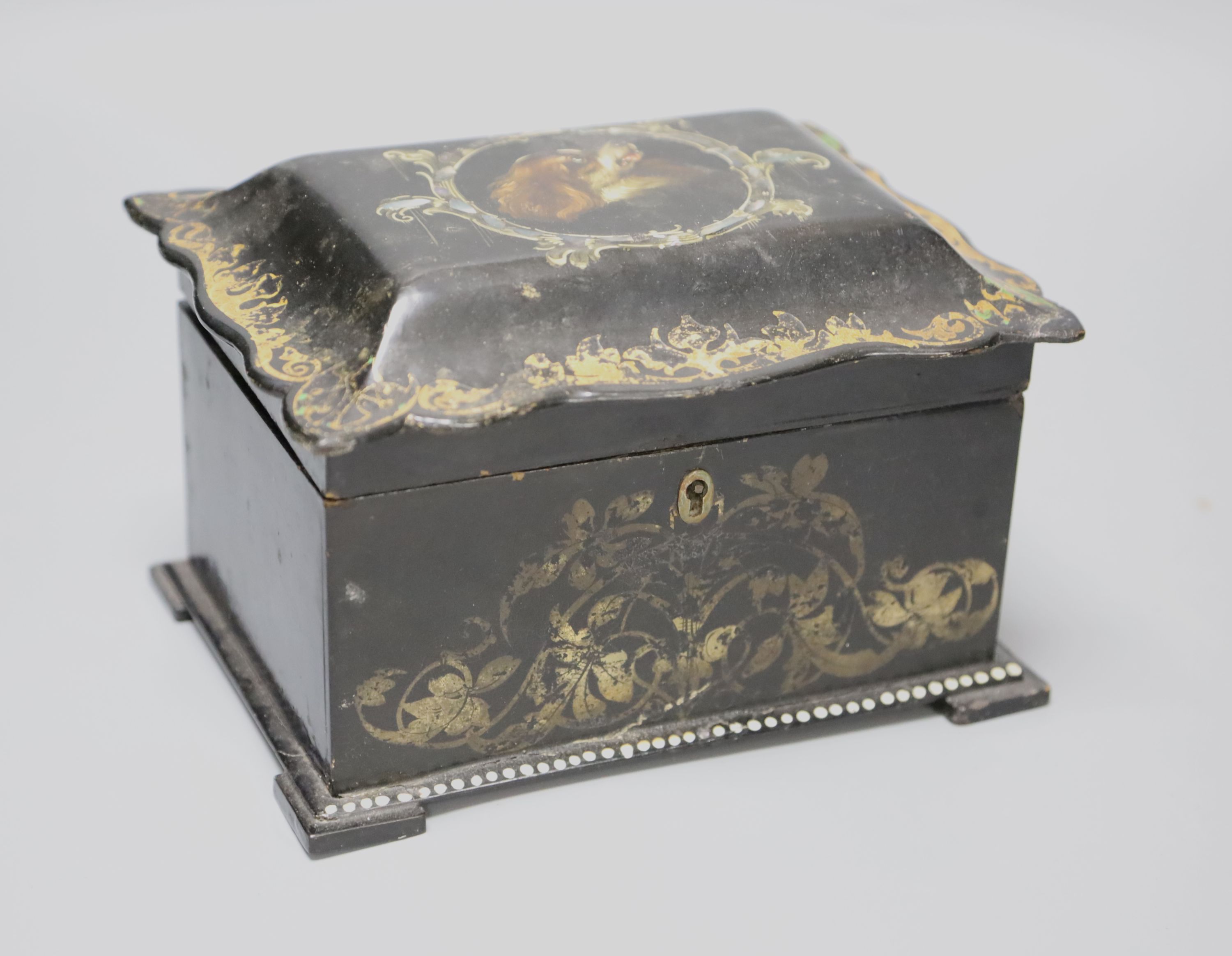 A 19th century black papier mache tea caddy cover painted with a central cartouche of a dogs head